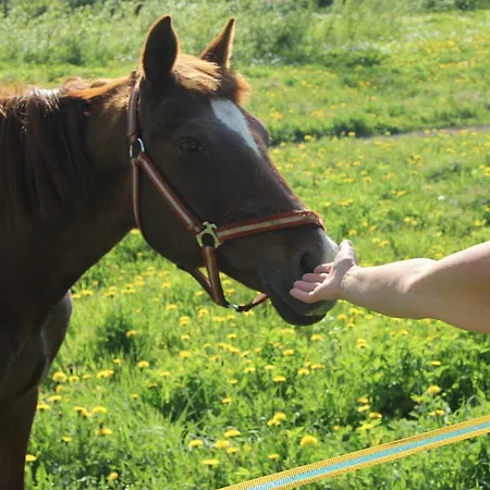 Vakantiehuis Mannimaatila Uni Lux