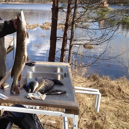 Mannimaatila Uni Lux * Punkaharju