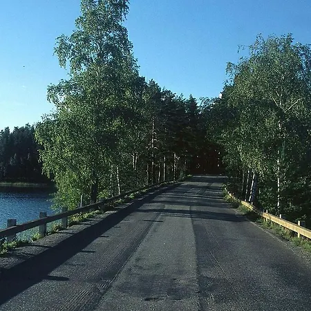 Mannimaatila Uni Lux *