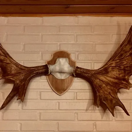 Mannimaatila Uni Lux * Punkaharju