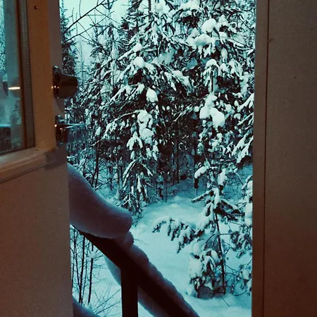 Mannimaatila Uni Lux Vakantiehuis Punkaharju