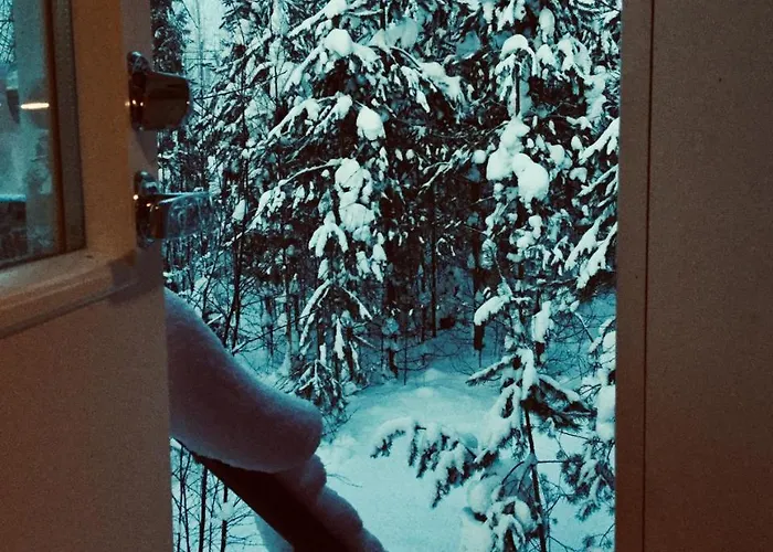 Mannimaatila Uni Lux بيت للعطل بونكاهاريو